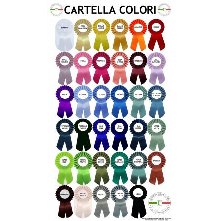 6242493CARTELLA-COLORI-CON-COCCARDE-2023---2.jpg