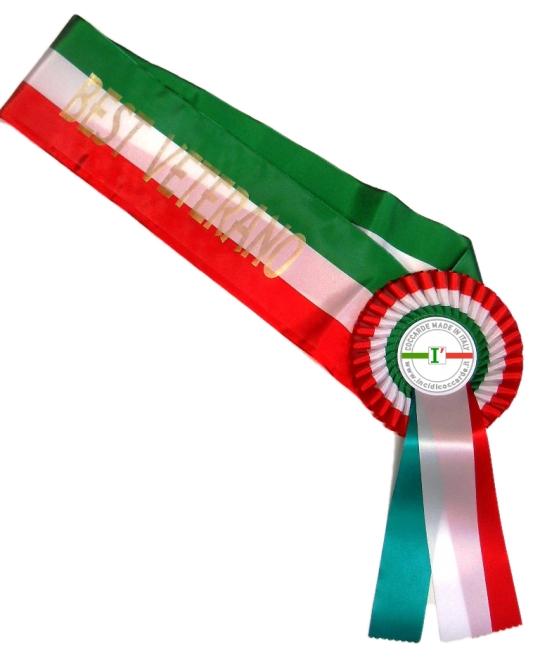 FASCIA-TRICOLORE-ITALIA---.png