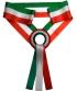 fascia-tricolore-con-coccarda-tricolore.png