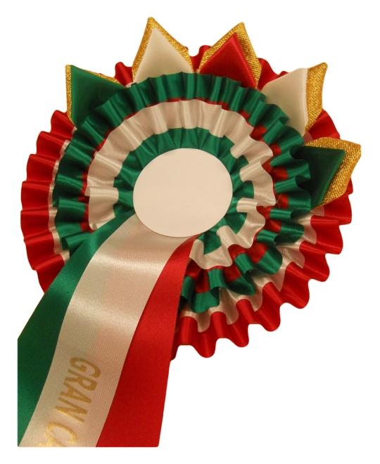COCCARDE-oslo-tricolore-rosetta.png