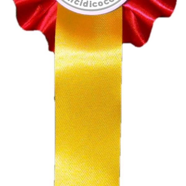 Coccarda Per Laurea - "Lei Finalmente Laureata", 15x8 Cm, Per Feste E Celebrazioni - Foto 10