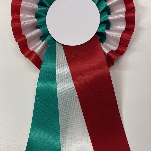 Coccarda tricolore Immagini Vettoriali Stock